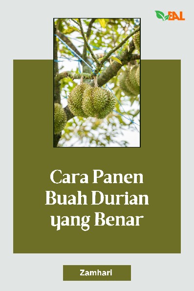 Cara Panen Buah Durian yang Benar
